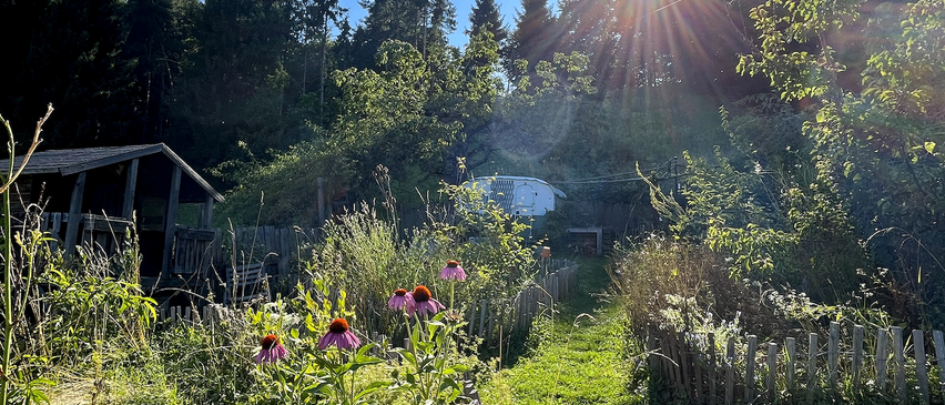 Ein üppiger Garten mit einem kleinen Haus und einer kuppelförmigen Struktur dahinter, unter einem strahlenden Sonnenschein. Der Weg führt zu einem Holzzaun.