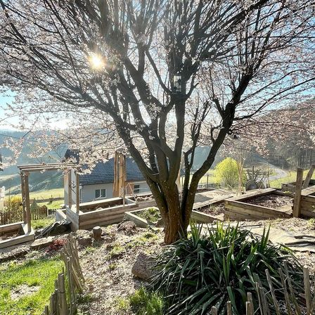 Bild enthält, Backyard, Nature, Outdoors, Yard, Shelter, Neighborhood, Grass, Tree, Graveyard, Scenery