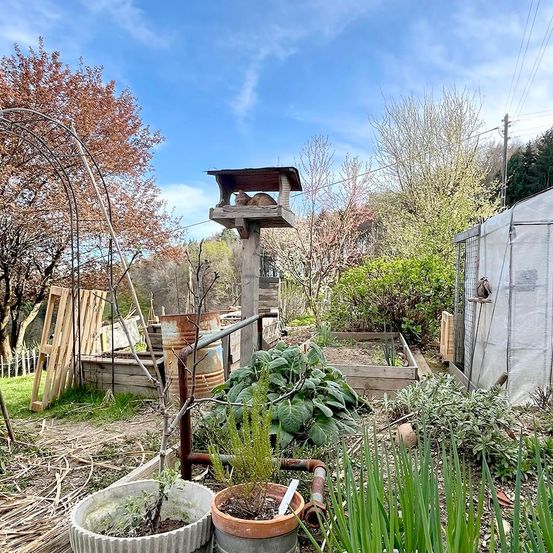 Bild enthält, Garden, Nature, Outdoors, Yard, Backyard, Plant