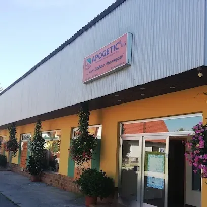 Apogeic Massagestudio mit einem geparkten Auto davor, einem blühenden Vordach und dekorativen Pflanzen, die außen hängen.