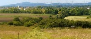Eine Landschaftsansicht mit einem ländlichen Gebiet, Bäumen und einem Feld im Vordergrund. In der Ferne sind Windturbinen auf einem Bergrücken zu sehen.