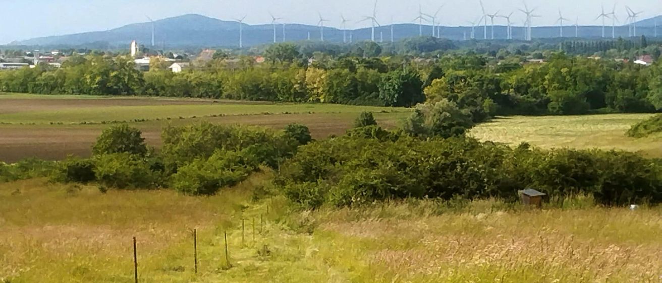 Eine Landschaftsansicht mit einem ländlichen Gebiet, Bäumen und einem Feld im Vordergrund. In der Ferne sind Windturbinen auf einem Bergrücken zu sehen.