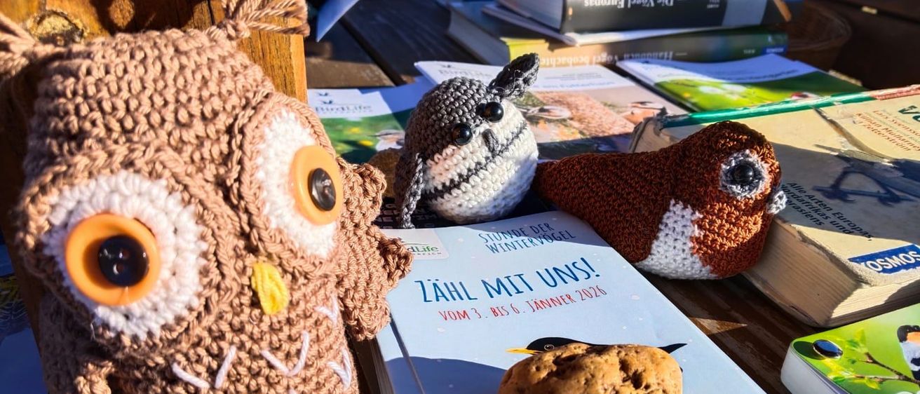 Auf einem Holztisch sind verschiedene Gegenstände ausgestellt, darunter ein Buch mit dem Titel 'Zaehl Mit Uns!' und drei gehäkelte Tiere. Das Buch ist aufgeschlagen auf eine Seite mit einem schwarzen Vogel, einem Keks und einer roten Beere.