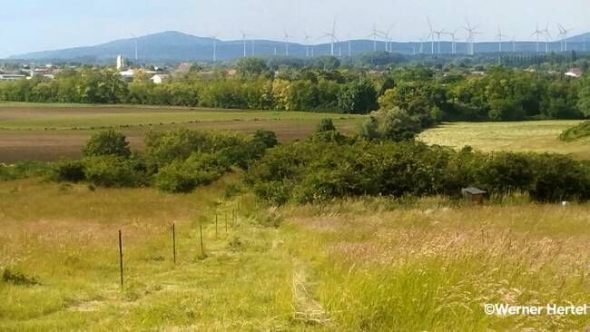 A broad field with a view of a village, trees, and mountains. Wind turbines are visible in the background.