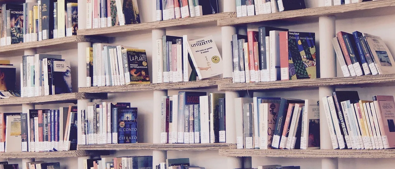 Ein Bücherregal mit mehreren Regalen, gefüllt mit Büchern, darunter Titel wie 'La Plante' und 'Il Conto Cifraro'. Die Bücher sind ordentlich angeordnet, und einige von ihnen haben weiße Etiketten auf dem Buchrücken.