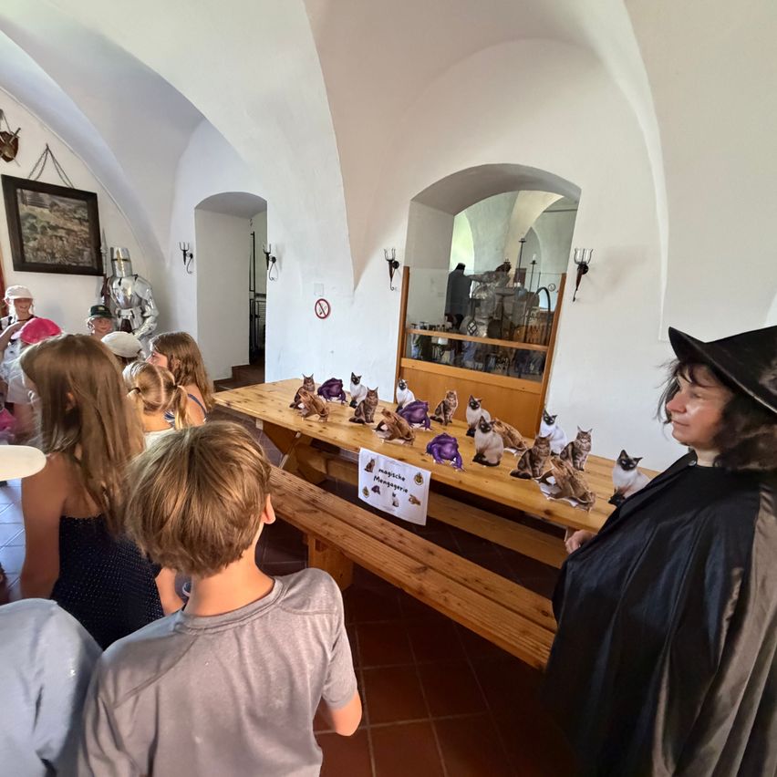 Hexen-Kostümierte Frau und Kinder bei magischer Katzenausstellung in Schloss Traun.