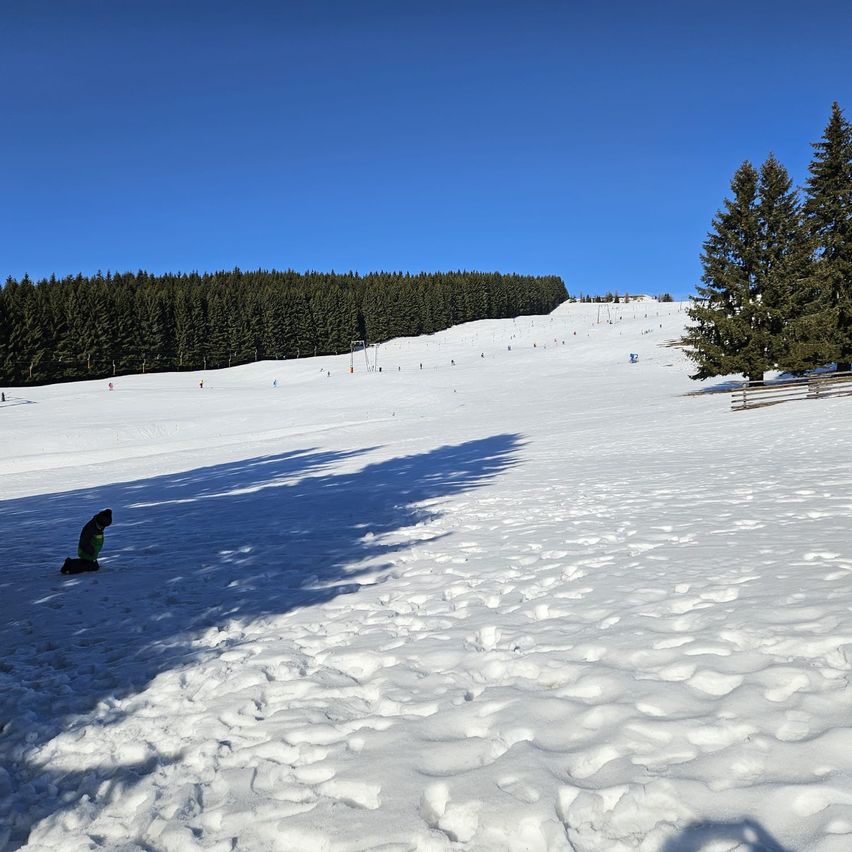 A snowy mountain slope with a person kneeling, surrounded by pine trees and a clear blue sky.