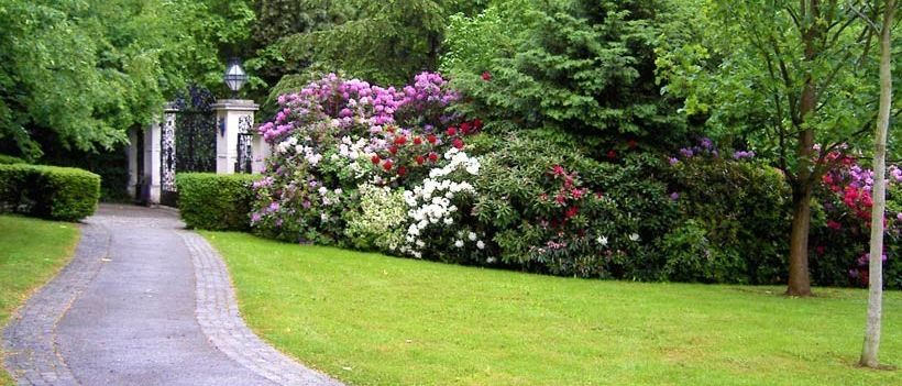 Ein gepflasterter Weg führt durch einen üppigen Garten, umgeben von bunt blühenden Büschen und Bäumen. Ein schwarzer Torbogen ist im Hintergrund zu sehen.