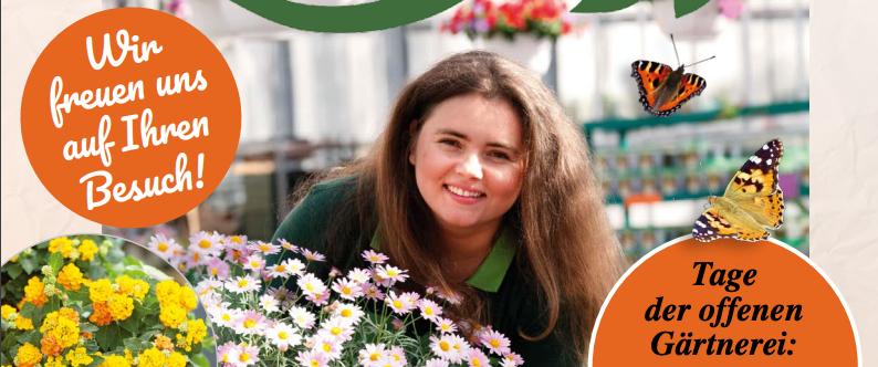 Bild enthält, Flower, Adult, Female, Person, Woman, Daisy, Head, Face, Gardening, Butterfly