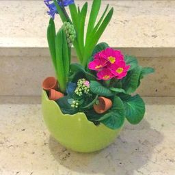 Ein grüner Keramiktopf in Eiform enthält eine Mischung aus Frühlingsblumen, darunter pinke, blaue und grüne Blüten. Der Topf steht auf einer Marmoroberfläche.