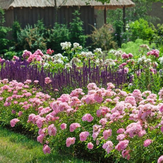 Ein Garten mit einer Vielzahl von Blumen, darunter rosa, weiße und lila Blüten. Ein Holzhaus mit Strohdach steht im Hintergrund.