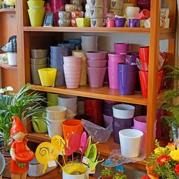 Ein Holzregal zeigt farbenfrohe Töpfe, Blumen und eine kleine Gnomfigur, mit Topfpflanzen und Blumen, die um das Regal herum angeordnet sind.