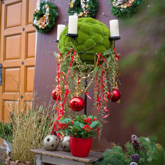 Eine weihnachtliche Dekoration mit einer grünen Mooskugel, Kerzen, roten Bändern und Ornamenten. Darunter steht ein roter Topf mit roten Beeren auf einem Holztisch. Weitere Dekorationen und Pflanzen umgeben die Anordnung.