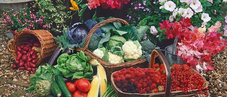 Bild enthält, Outdoors, Nature, Food, Produce