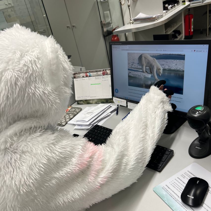 Eine Person in einem weißen pelzigen Kostüm steht am Schreibtisch und zeigt mit dem Finger auf einen Computerbildschirm, der einen Eisbären auf dem Eis zeigt.
