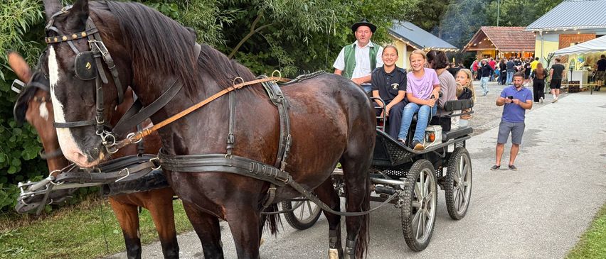 Eine Pferdekutsche mit drei Passagieren, darunter zwei Kinder, fährt auf einer Straße in der Nähe einer Menschenmenge.