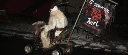 Image contains, Advertisement, Machine, Wheel, Nature, Night, Outdoors, Animal, Bird, Monkey, Wildlife