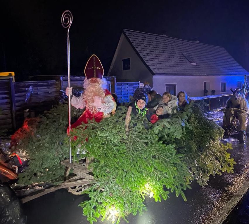 Bild enthält, Person, Adult, Bride, Female, Woman, Nature, Outdoors, Festival, Wheel, Face