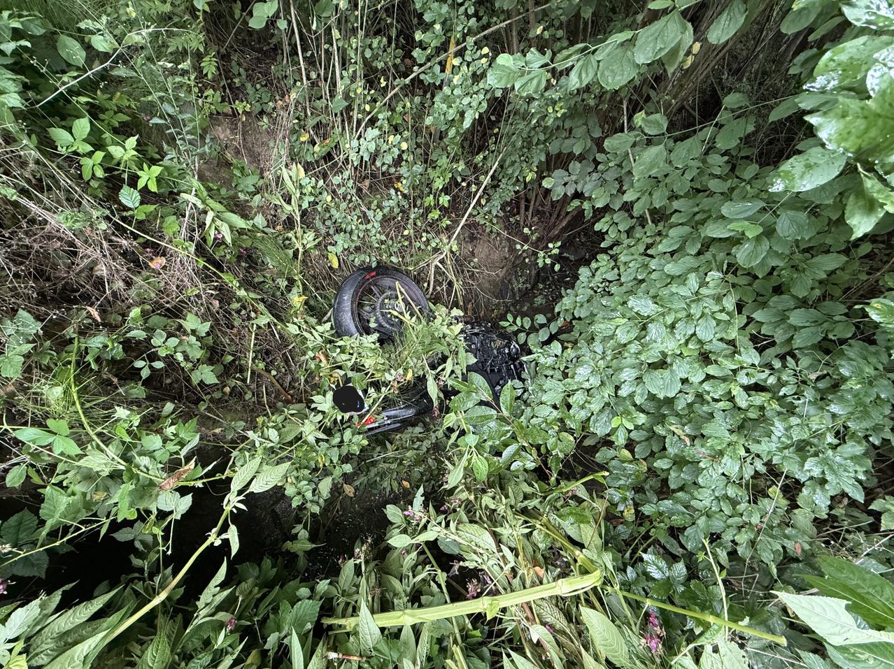 Ein Motorrad ist in einem bewaldeten Gebiet mit dichter Vegetation und einem schlammigen Boden zerstört.