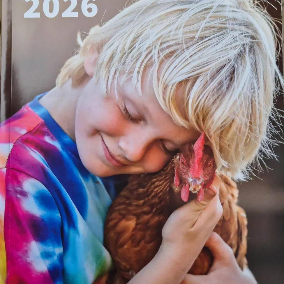 Ein Kind in einem bunten Tie-Dye-Shirt umarmt ein braune Huhn nah an seinem Gesicht, mit dem Jahr 2026 in der oberen linken Ecke.
