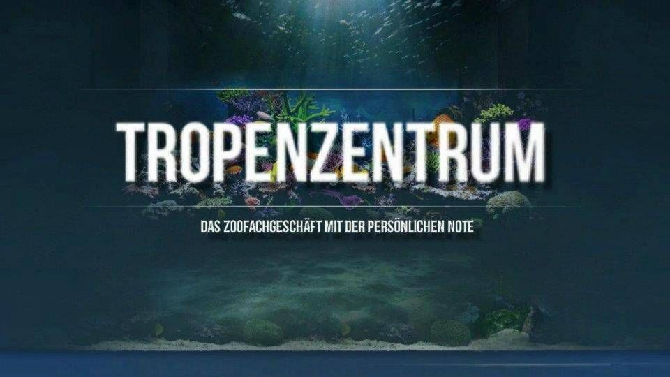 v1_migrated_image_12520378