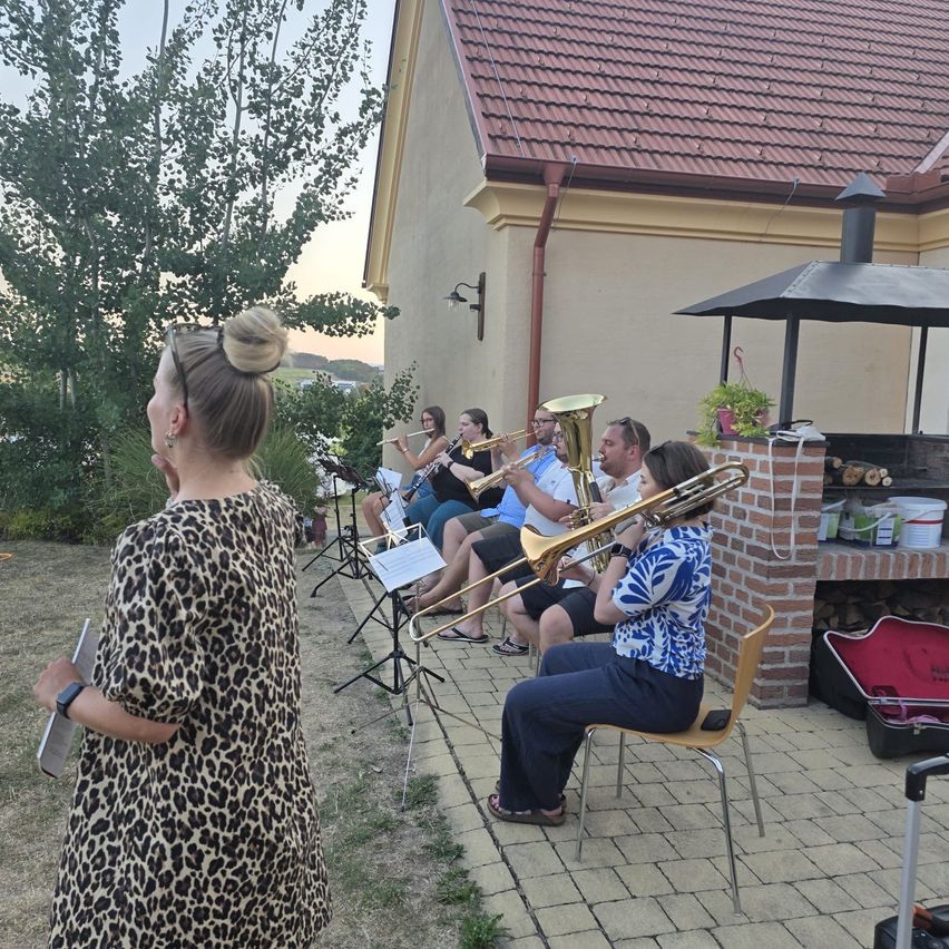 Eine Gruppe von Musikern spielt Instrumente vor einem Haus am Abend. Eine Frau steht vorne, möglicherweise als Dirigent.
