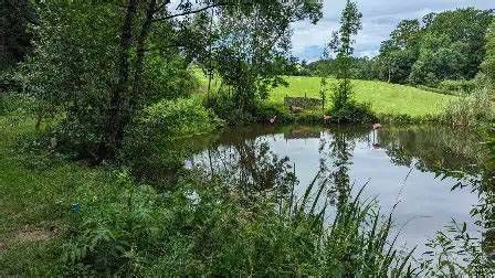 Nature, Outdoors, Pond, Water, Scenery, Canoeing, Water Sports, Grass, Plant, Lake
