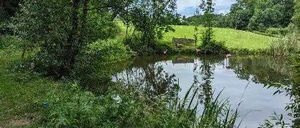 Nature, Outdoors, Pond, Water, Scenery, Canoeing, Water Sports, Grass, Plant, Lake