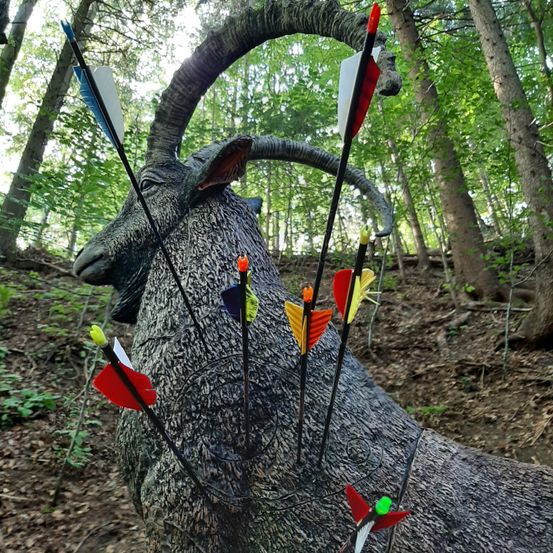 Vegetation, Grove, Land, Tree, Woodland, Jungle, Rock, Weapon, Rainforest, Airplane