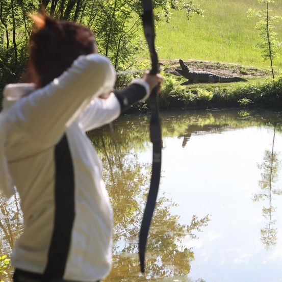 Archery, Bow, Weapon, Archer, Person, Adult, Female, Woman, Pond, Lizard