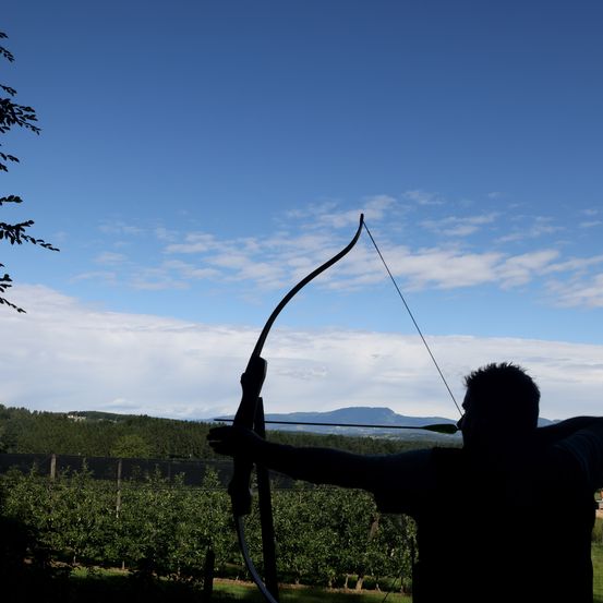 Archery, Bow, Sport, Weapon, Archer, Person, Adult, Male, Man