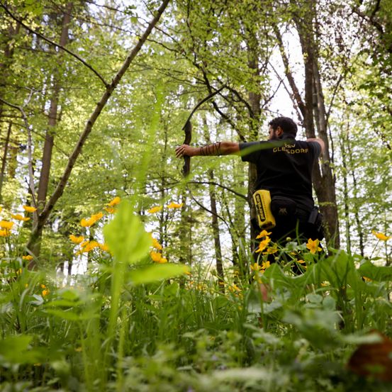 Vegetation, Land, Woodland, Weapon, Grove, Archery, Bow, Archer, Person, Jungle