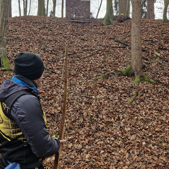 Plant, Vegetation, Weapon, Spear, Bow, Bag, Outdoors, Nature, Tree, Woodland