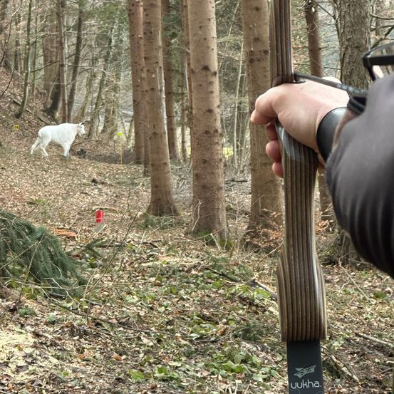 Grove, Land, Tree, Vegetation, Woodland, Soil, Jungle, Wilderness, Person, Weapon