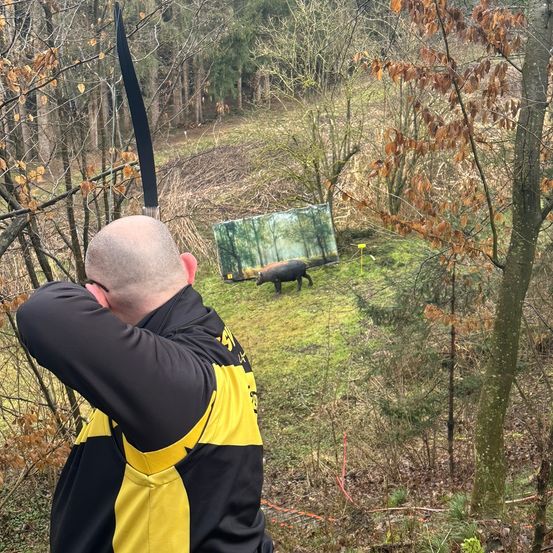 Weapon, Adult, Male, Man, Person, Archery, Bow, Vegetation, Archer, Pig