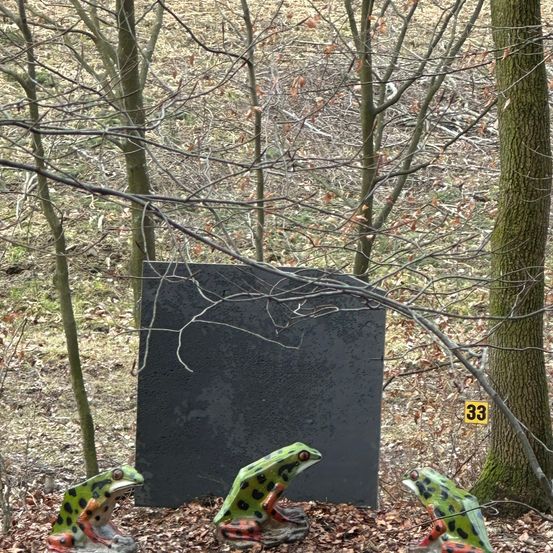 Vegetation, Tree, Land, Outdoors, Woodland, Turtle, Grove, Gravestone, Tomb, Wildlife
