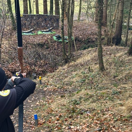 Grove, Land, Tree, Vegetation, Woodland, Weapon, Person, Gun, Bird, Bow