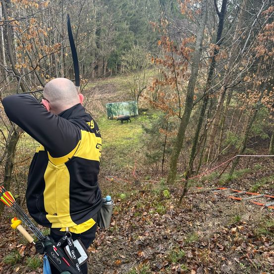 Archery, Bow, Weapon, Archer, Person, Vegetation, Tree, Woodland, Sheep, Crossbow