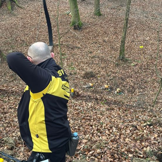 Archery, Bow, Weapon, Archer, Person, Vegetation, Grove, Adult, Male, Man