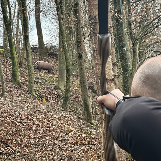 Adult, Male, Man, Person, Pig, Photography, Weapon, Vegetation, Camera, Electronics