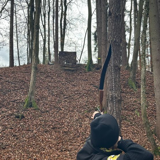 Grove, Land, Tree, Vegetation, Woodland, Person, Weapon, Archery, Bow, Archer