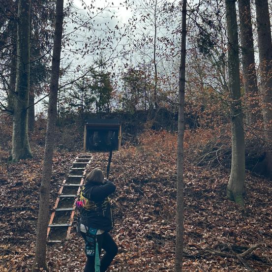 Grove, Land, Tree, Vegetation, Woodland, Photography, Portrait, Jungle, Path, Trail