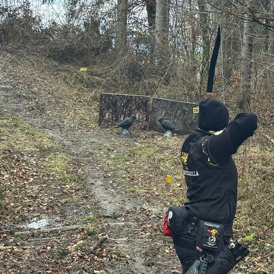 Plant, Vegetation, Weapon, Animal, Bird, Gun, Person, Paintball