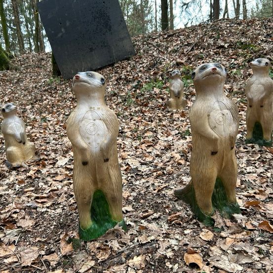 Plant, Vegetation, Tree, Grove, Woodland, Animal, Bear, Wildlife, Bird, Gravestone