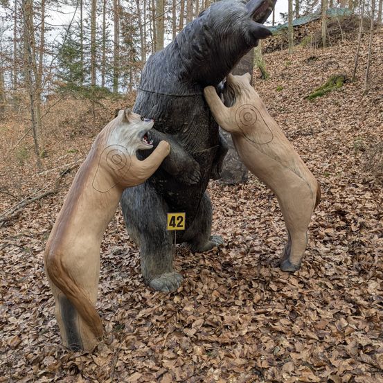 Bear, Mammal, Wildlife, Vegetation, Tree, Woodland, Soil, Hog, Wood, Boar