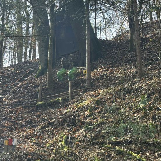 Ein mit gefallenen Blättern bedeckter Hang mit einem großen Baumstamm. Es gibt zwei grüne Pfosten mit der Nummer 3.