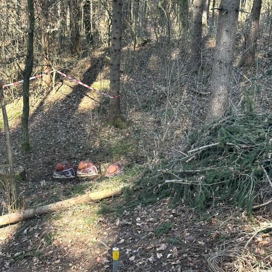 Ein Waldgebiet mit gefallenen Ästen und Bäumen. Ein rot-weißes Band markiert einen Bereich ab. Mehrere Gegenstände, möglicherweise Sportausrüstung, sind auf dem Boden verstreut.
