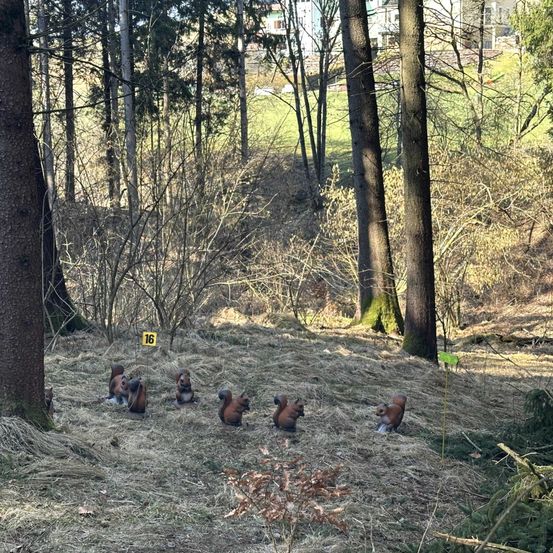 Ein Foto eines Waldes mit mehreren Eichhörnchenstatuen auf dem Boden, nummeriert 16. Das Gebiet ist von Bäumen und trockenem Gras umgeben. In der Ferne befindet sich ein grünes Feld und ein Haus.