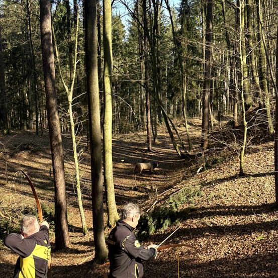 Zwei Männer üben Bogenschießen in einem Wald, einer zielt und der andere beobachtet. Der Wald ist voller Bäume und trockener Blätter.