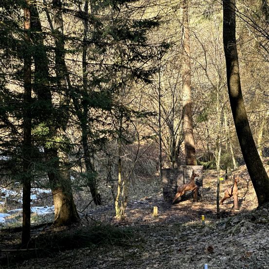 Ein bewaldetes Gebiet mit mehreren Bäumen, von denen einer eine Hirschstatue darauf hat. Der Boden ist mit trockenen Blättern und kleinen Zweigen bedeckt.